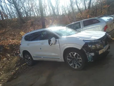 2021 Hyundai Santa FE KMHS581HHMU415024 VIN:KMHS581HHMU415024