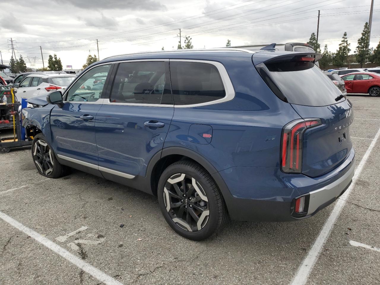 2024 KIA TELLURIDE EX VIN:5XYP3DGC9RG433708