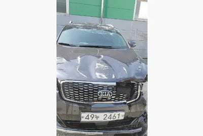 2019 Kia Sorento KNAPS81ABKA479906 VIN:KNAPS81ABKA479906