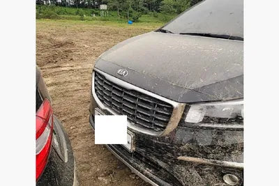 2019 Kia Carnival KNAMB81ABKS567289 VIN:KNAMB81ABKS567289