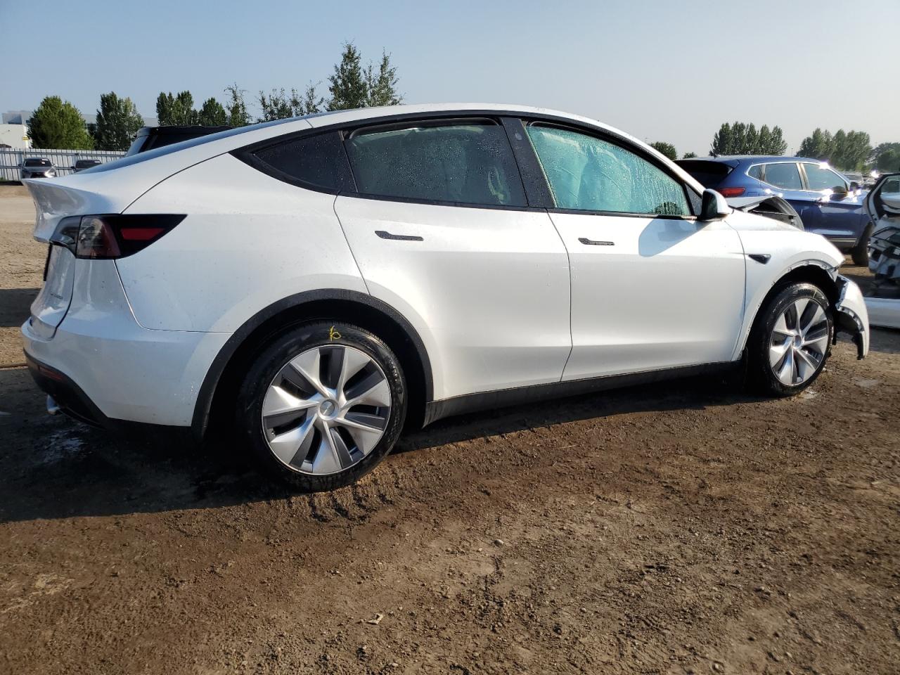 2023 TESLA MODEL Y  VIN:LRWYGDEE5PC081495