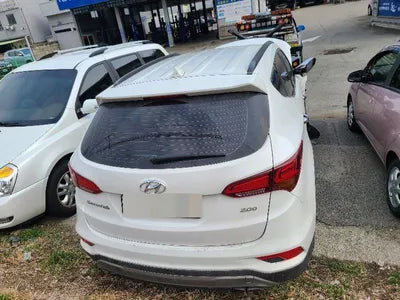 2017 Hyundai Santa FE KMHSW81UBJU839596 VIN:KMHSW81UBJU839596