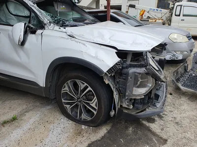 2019 Hyundai Santa FE KMHS381BBKU073201 VIN:KMHS381BBKU073201