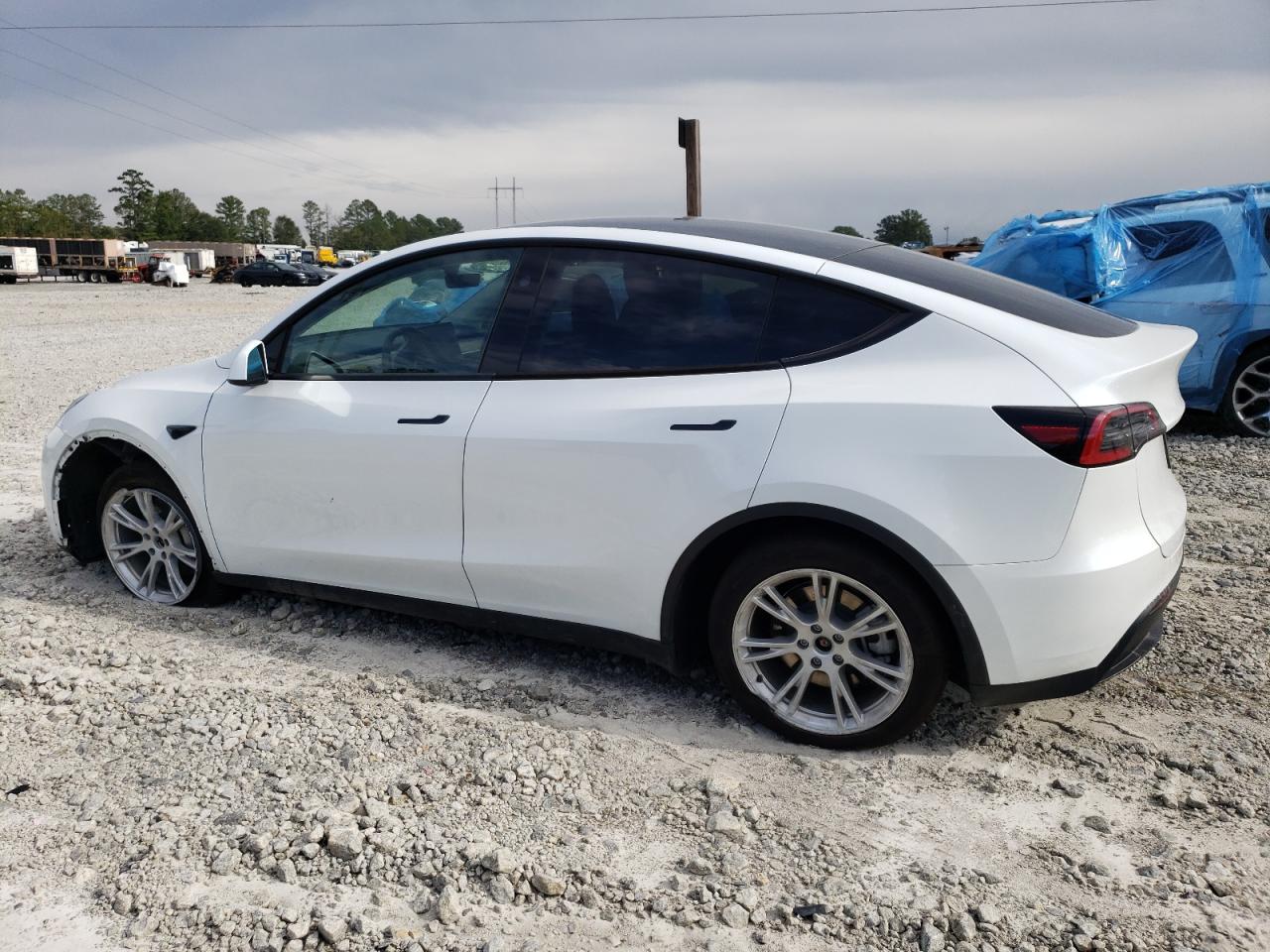 2023 TESLA MODEL Y  VIN:7SAYGDEE3PF791732