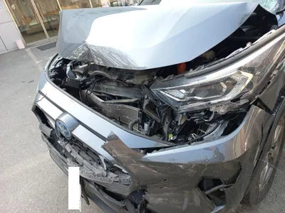 2021 Toyota RAV4 JTMDWRFV3MD089715 VIN:JTMDWRFV3MD089715