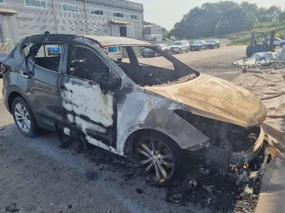 2018 Hyundai Santa FE KMHSW81UBJU854856 VIN:KMHSW81UBJU854856