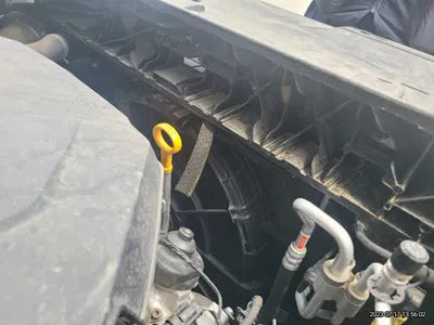2021 Kia Carnival KNANE81BBMS015422 VIN:KNANE81BBMS015422
