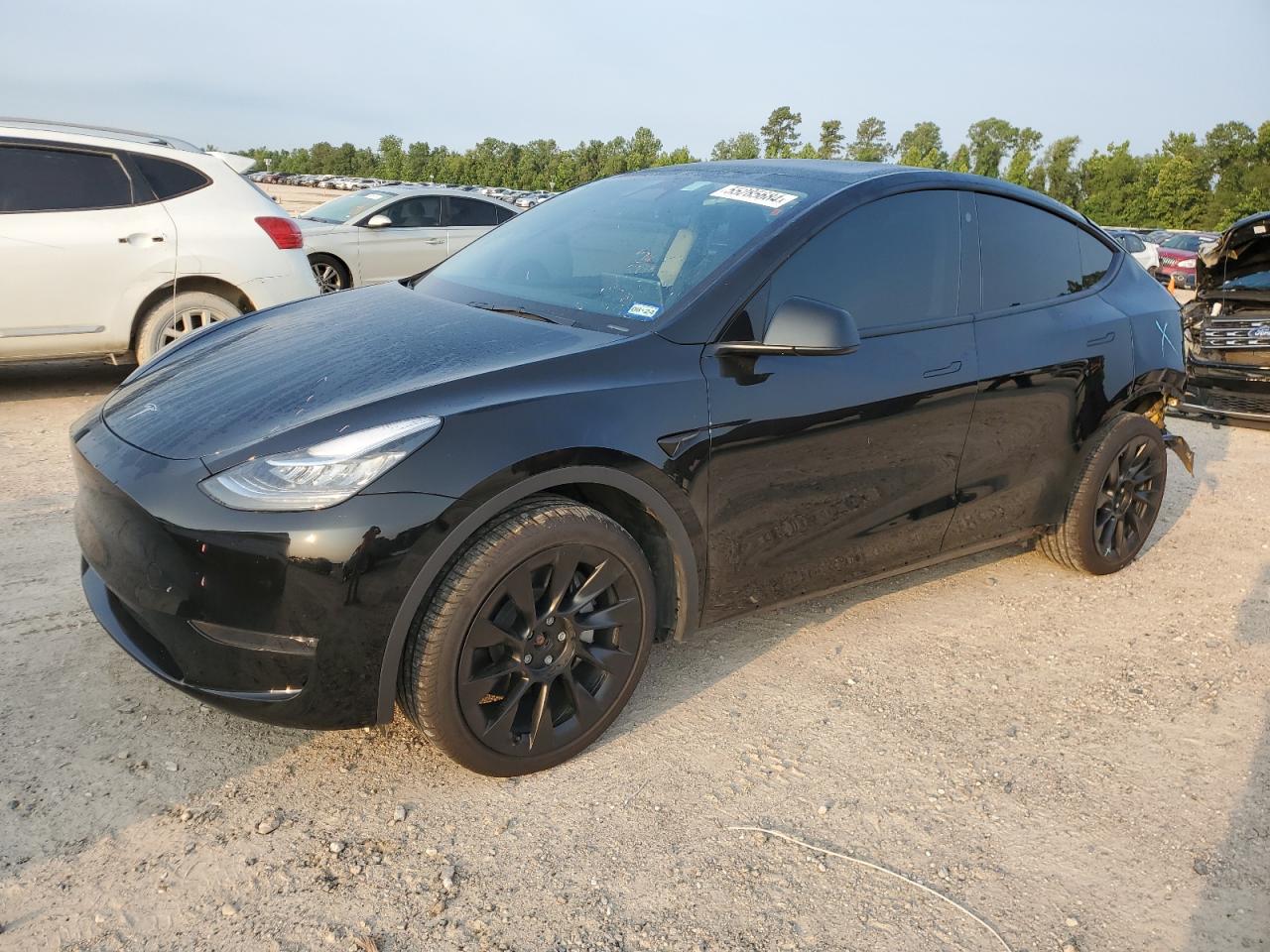 2023 TESLA MODEL Y  VIN:7SAYGDEE3PA029823