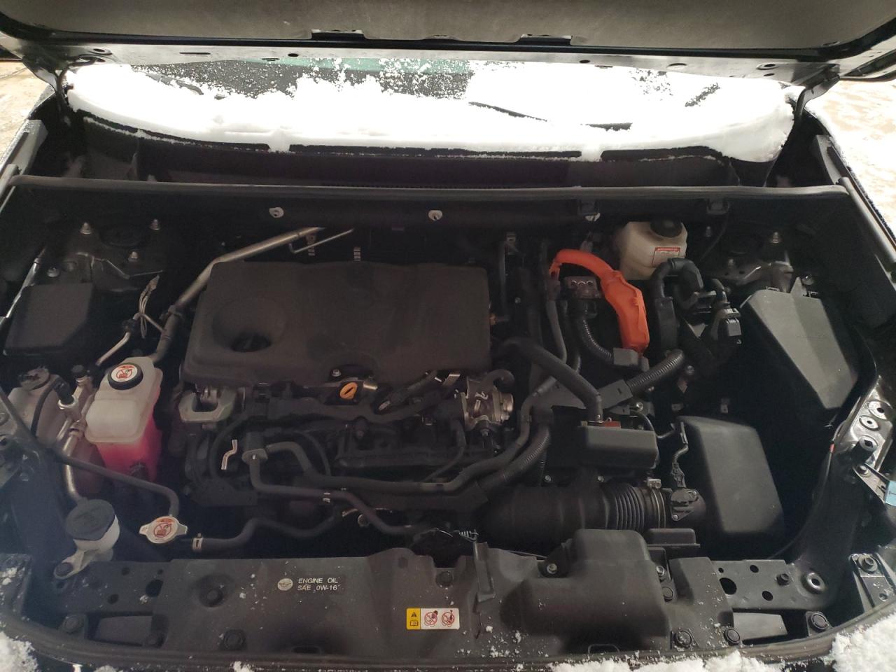 2023 TOYOTA RAV4 WOODLAND EDITION VIN:2T3UWRFVXPW151313