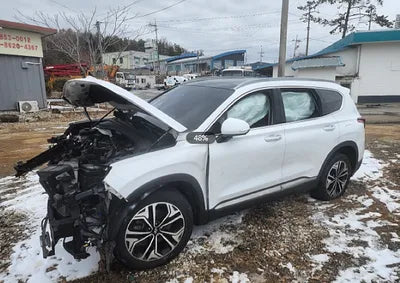 2019 Hyundai Santa FE KMHS381BBKU035744 VIN:KMHS381BBKU035744