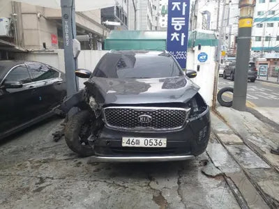 2016 Kia Sorento KNAPS81ABGA263192 VIN:KNAPS81ABGA263192