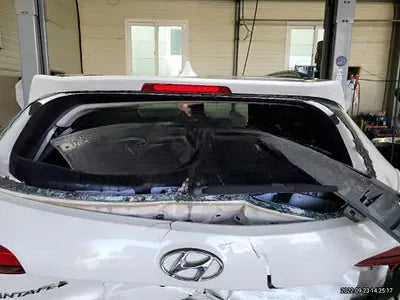 2016 Hyundai Santa FE KMHSW81UBGU640272 VIN:KMHSW81UBGU640272