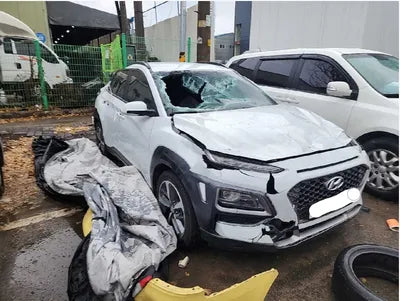 2018 Hyundai Kona KMHK7815GJU015197 VIN:KMHK7815GJU015197