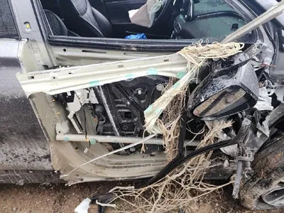 2019 Hyundai Santa FE 2KMHS381BBKU07648 VIN:2KMHS381BBKU07648