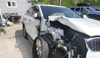 2019 Kia Sorento 611KMKNAPG81ABKA4 VIN:611KMKNAPG81ABKA4