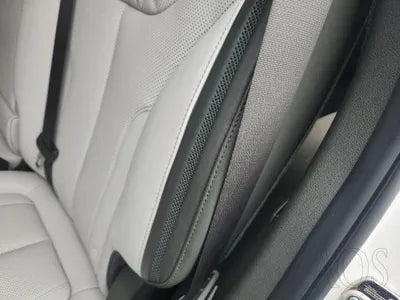 2020 Hyundai Santa FE KMHS581HHMU321463 VIN:KMHS581HHMU321463