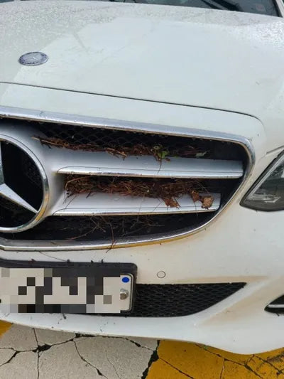 2014 Mercedes-Benz E 220 VIN: