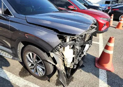 2020 Hyundai Santa FE KMHS281BBLU199802 VIN:KMHS281BBLU199802