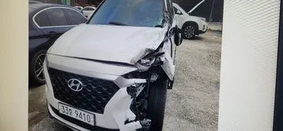 2019 Hyundai Santa FE 1KMHS281BDKU14560 VIN:1KMHS281BDKU14560