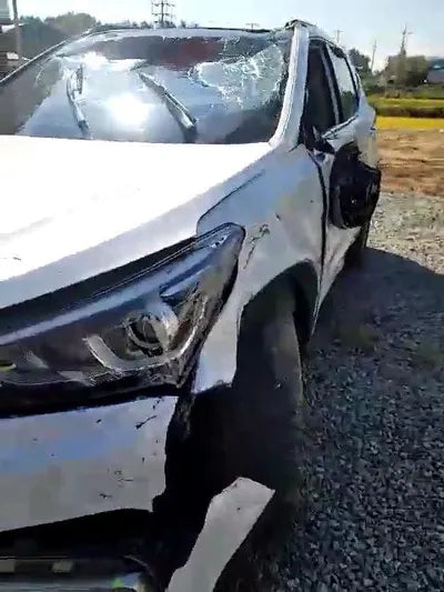 2017 Hyundai Santa FE KMHSW81UDJU775496 VIN:KMHSW81UDJU775496