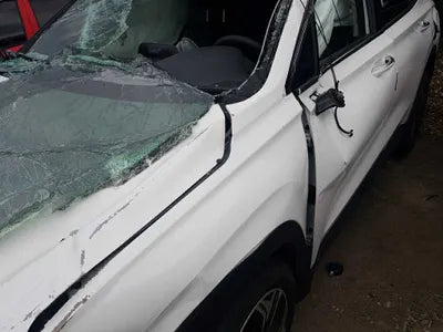 2019 Hyundai Santa FE 089KMKMHS381BDKU0 VIN:089KMKMHS381BDKU0