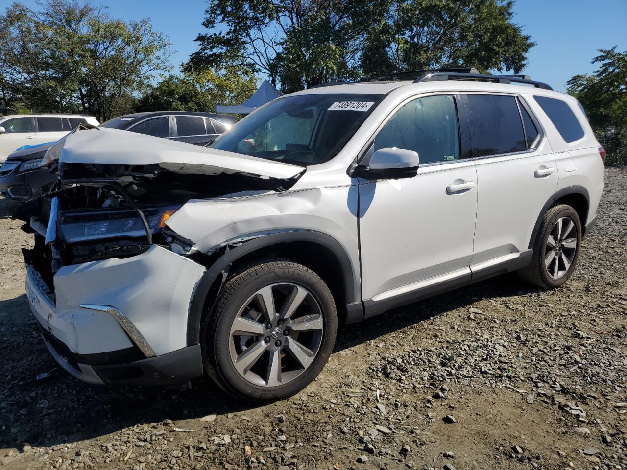 2023 HONDA PILOT ELITE VIN:5FNYG1H89PB045691