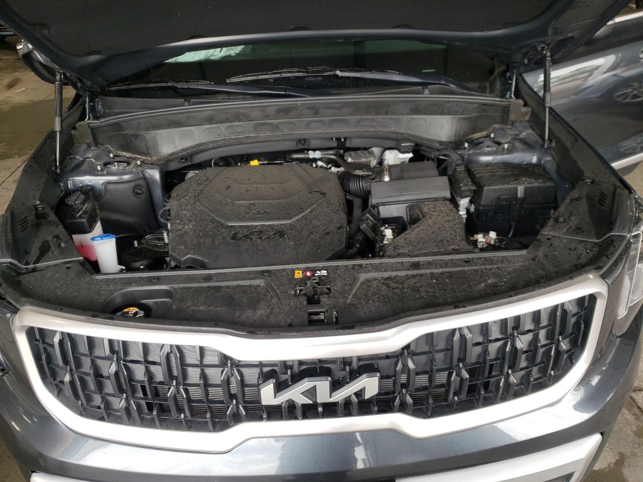2024 KIA TELLURIDE EX VIN:5XYP3DGCXRG474736