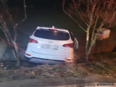 2018 Hyundai Santa FE KMHSW81UBJU855242 VIN:KMHSW81UBJU855242