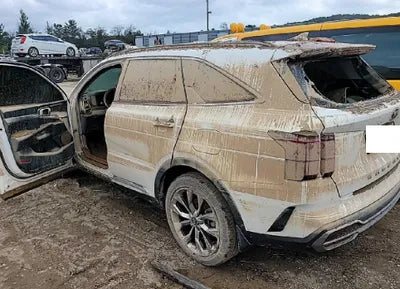 2021 Kia Sorento KNARK81BGMA026012 VIN:KNARK81BGMA026012
