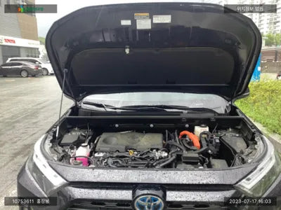 2023 Toyota RAV4 JTMDWRFV6PD172379 VIN:JTMDWRFV6PD172379