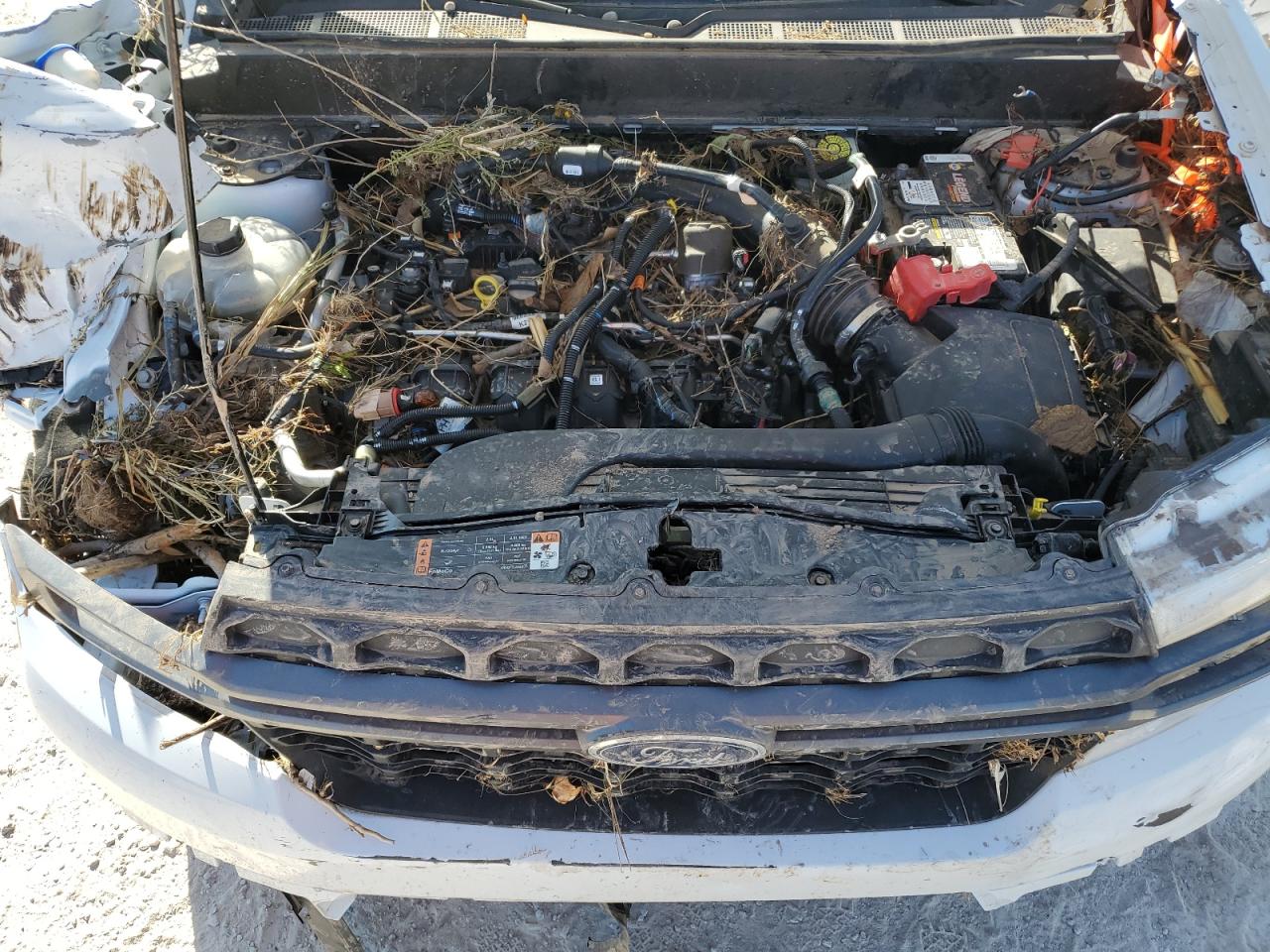 2022 FORD MAVERICK XL VIN:3FTTW8F9XNRA15953