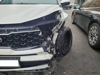 2021 Kia Sorento KNARK81BGMA103765 VIN:KNARK81BGMA103765