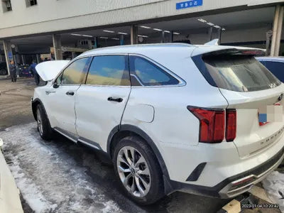 2020 Kia Sorento KNAPS81ABLA625226 VIN:KNAPS81ABLA625226