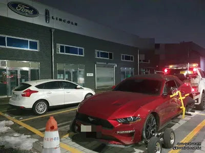 2019 Ford Mustang 1FATP8UH3K5196891 VIN:1FATP8UH3K5196891