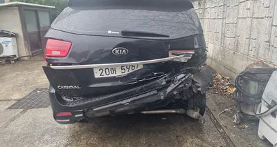 2019 Kia Carnival KNAME81ABKS499930 VIN:KNAME81ABKS499930