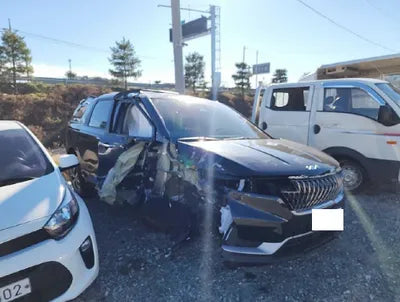 2023 Kia Carnival KNANB813BPS258263 VIN:KNANB813BPS258263