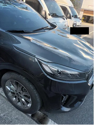 2019 Kia Sorento KNAPK81BDKA504403 VIN:KNAPK81BDKA504403