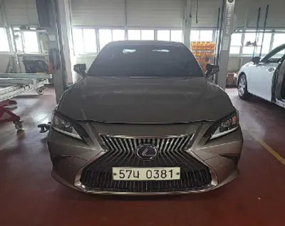 2019 Lexus ES 300 JTHB21B13K2038973 VIN:JTHB21B13K2038973