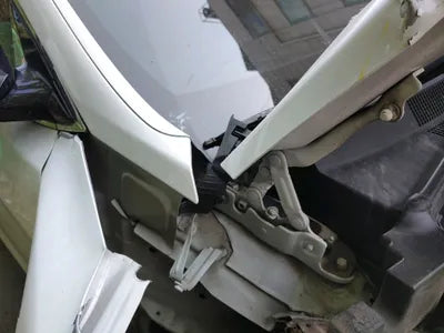 2017 Hyundai Santa FE KMHSW81UBJU841205 VIN:KMHSW81UBJU841205