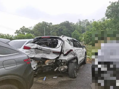 2019 Hyundai Santa FE KMHS381CBKU162453 VIN:KMHS381CBKU162453