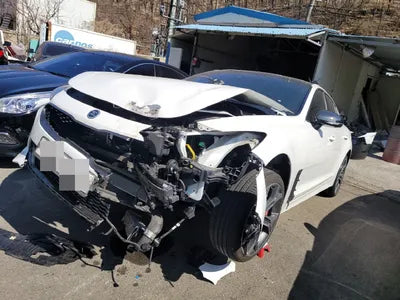 2020 Kia Stinger KNAE751CBLS082686 VIN:KNAE751CBLS082686