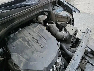2021 Kia Sorento KNARL81BGMA059439 VIN:KNARL81BGMA059439