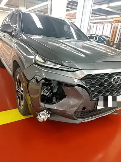 2019 Hyundai Santa FE KMHS281CBKU107302 VIN:KMHS281CBKU107302