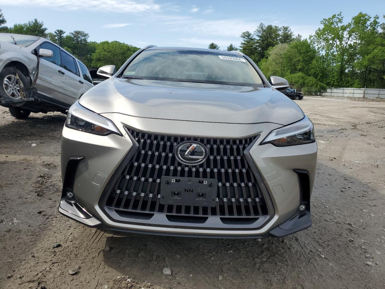 2023 LEXUS NX 350 VIN:2T2AGCEZ4PC031160