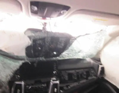 2021 Kia Sorento KNARL81BGNA139785 VIN:KNARL81BGNA139785