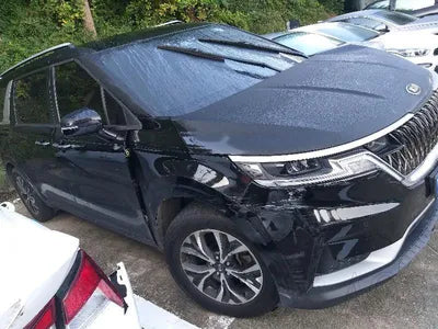 2020 Kia Carnival KNANB81BBMS028316 VIN:KNANB81BBMS028316