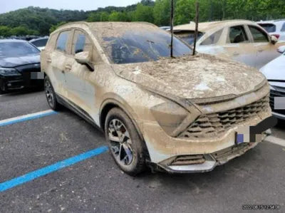 2022 Kia Sportage KNAPY81BGNK010773 VIN:KNAPY81BGNK010773