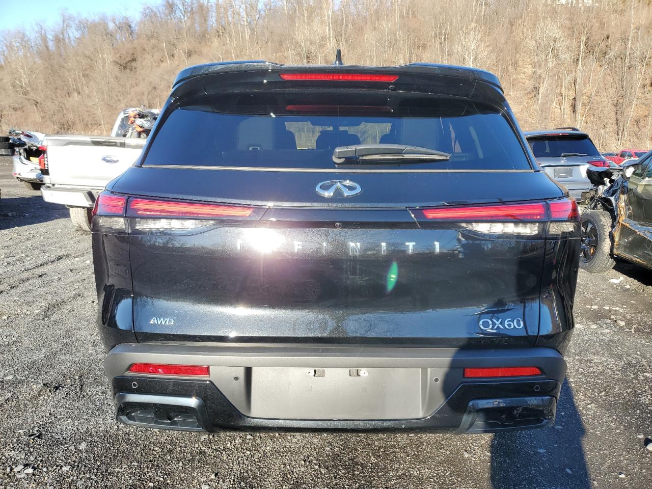 2024 INFINITI QX60 LUXE VIN:5N1DL1FS2RC346226