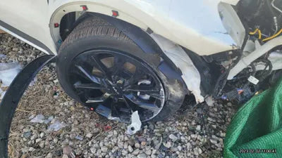 2023 Kia Sorento KNARJ81FGPA201460 VIN:KNARJ81FGPA201460