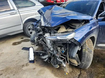 2019 Hyundai Santa FE KMHS381CDKU076065 VIN:KMHS381CDKU076065